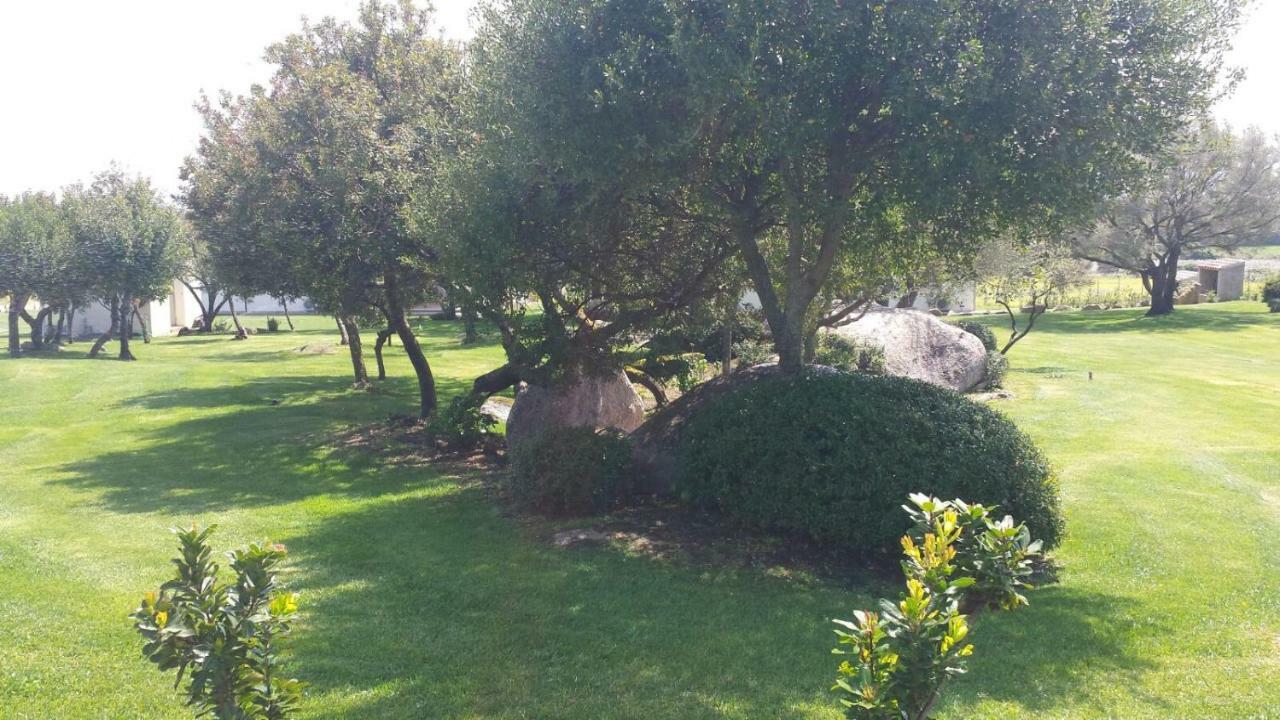 B&B Majore Olbia Exterior foto